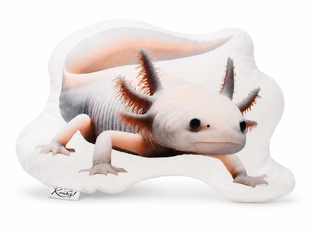 K-oukej! Polštář Axolotl L