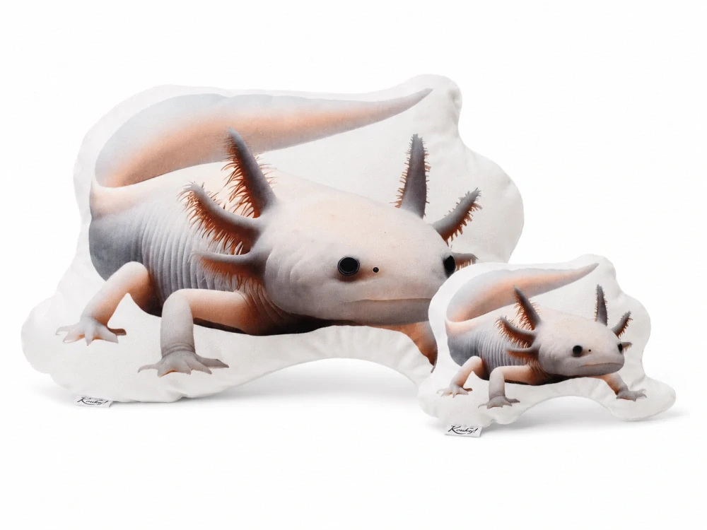 K-oukej! Polštář Axolotl L